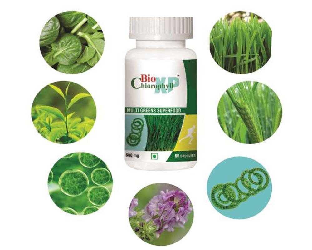 BioChlorophyll XP - Multi Greens Super Food