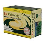 Plants: image 2 0f 4 thumb